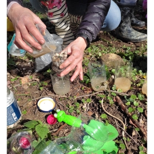 Zeleni nahrbtnik Zeleni nahrbtnik