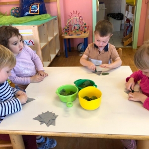 Spoznavanje zelišč s čutili Spoznavanje zelišč s čutili