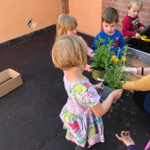 Spoznavanje zelišč s čutili Spoznavanje zelišč s čutili