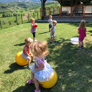 Vrtčevski dan Vrtčevski dan