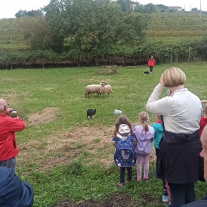 Pohod z nonami in nonoti Pohod z nonami in nonoti