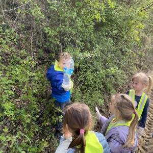 Zeleni nahrbtnik Zeleni nahrbtnik