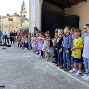 Zeleni nahrbtnik Zeleni nahrbtnik