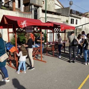 Zeleni nahrbtnik Zeleni nahrbtnik