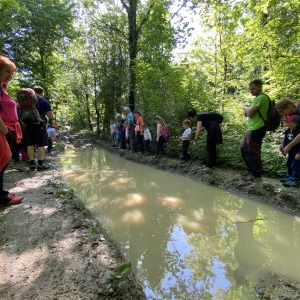 4. Pohod Ringa raja 4. Pohod Ringa raja