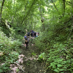 4. Pohod Ringa raja 4. Pohod Ringa raja