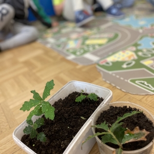 Izkustveno učenje: OD ŽELODA DO HRASTA Izkustveno učenje: OD ŽELODA DO HRASTA