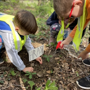 Izkustveno učenje: OD ŽELODA DO HRASTA Izkustveno učenje: OD ŽELODA DO HRASTA