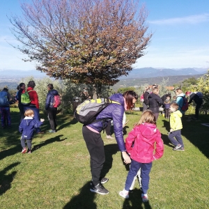 Pohod "Ringa raja od kraja do kraja" Pohod "Ringa raja od kraja do kraja"