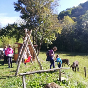 Pohod "Ringa raja od kraja do kraja" Pohod "Ringa raja od kraja do kraja"