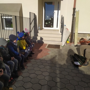 Pikapolonice prisluhnile zvokom violine Pikapolonice prisluhnile zvokom violine