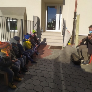 Pikapolonice prisluhnile zvokom violine Pikapolonice prisluhnile zvokom violine