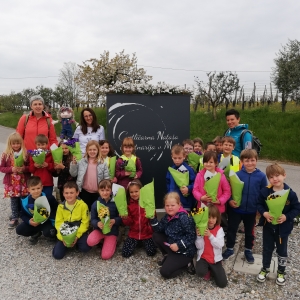 Ohranimo čebele, posadimo medovite rastline Ohranimo čebele, posadimo medovite rastline