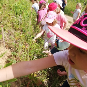 Dopoldne v naravi Dopoldne v naravi