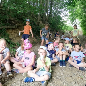 Dopoldne v naravi Dopoldne v naravi