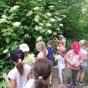 Dopoldne v naravi Dopoldne v naravi