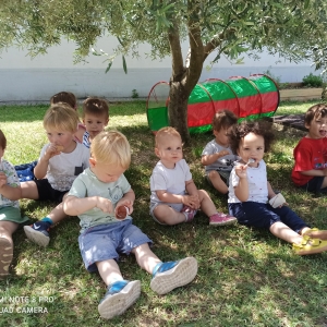 Vrtčevski dan Vrtčevski dan