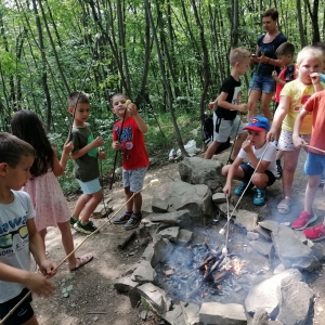 Zaključek skupine Dragulji Zaključek skupine Dragulji