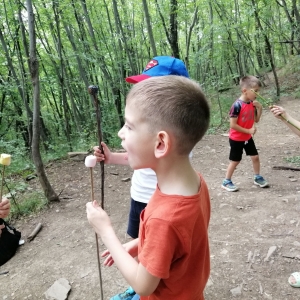 Zaključek skupine Dragulji Zaključek skupine Dragulji