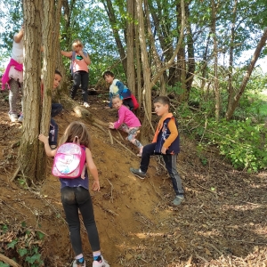 Jesenski pohod Jesenski pohod