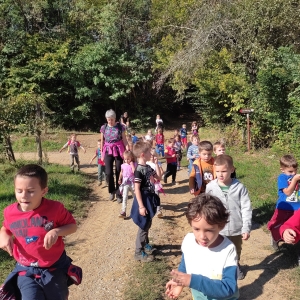 Jesenski pohod Jesenski pohod