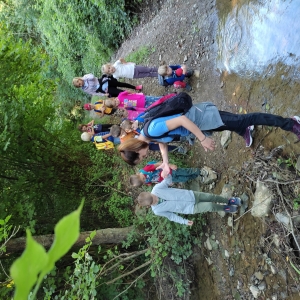 Jesenski pohod Jesenski pohod