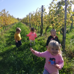 Pri Zajčkih Pri Zajčkih