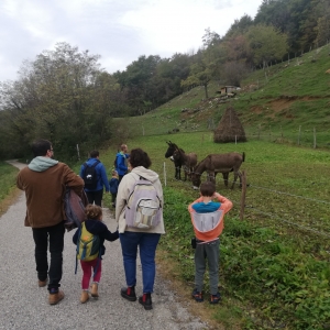 Ringa raja od kraja do kraja