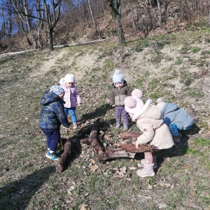 Zajčki na sprehodu Zajčki na sprehodu