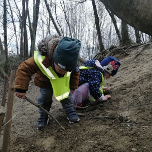 Zajčki na sprehodu Zajčki na sprehodu