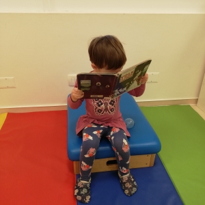 Volk in sedem kozličkov Volk in sedem kozličkov