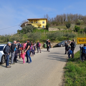 Pohod Ringa raja Pohod Ringa raja