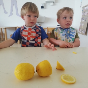 Pripravili smo bezgov sirup