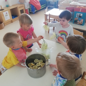 Pripravili smo bezgov sirup