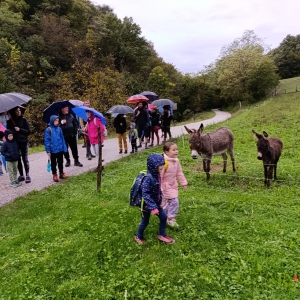 1. pohod Riga raja od kraja do kraja 1. pohod Riga raja od kraja do kraja