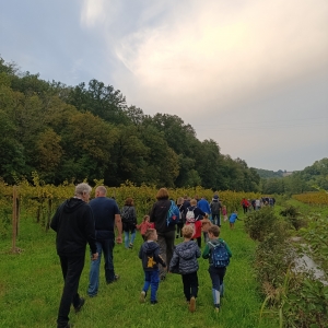 Pohod z nonami in nonoti Pohod z nonami in nonoti