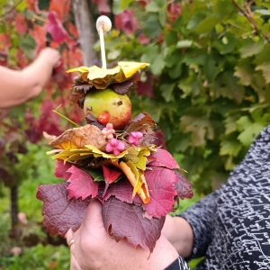 Pohod z nonami in nonoti Pohod z nonami in nonoti