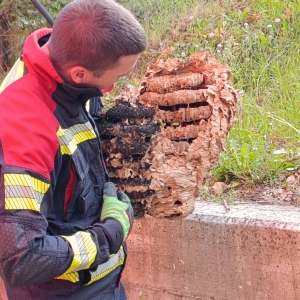 Spoznavali smo reševalne službe Spoznavali smo reševalne službe