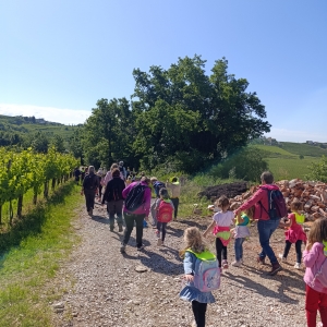 Na pohodu z upokojenkami Na pohodu z upokojenkami