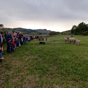 Pohod z nonami in nonoti Pohod z nonami in nonoti