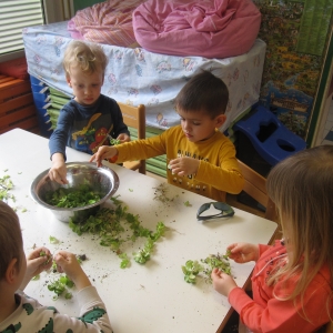 Zelenjavni vrt v rdeči igralnici Zelenjavni vrt v rdeči igralnici