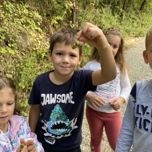 ISKANJE SKRITEGA ZAKLADA ISKANJE SKRITEGA ZAKLADA