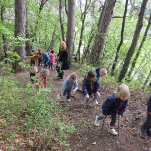 Zeleni nahrbtnik Zeleni nahrbtnik