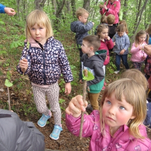 Zeleni nahrbtnik Zeleni nahrbtnik