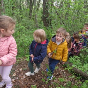 Zeleni nahrbtnik Zeleni nahrbtnik