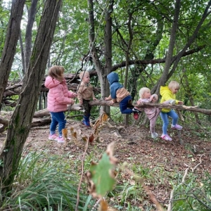 September v Kojskem September v Kojskem