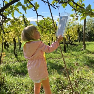LOV NA PRAVLJIČNI ZAKLAD LOV NA PRAVLJIČNI ZAKLAD