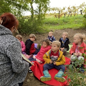 GOZDNI KOTIČKI V VRTCU KOJSKO GOZDNI KOTIČKI V VRTCU KOJSKO