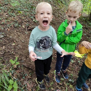 GOZDNI KOTIČKI V VRTCU KOJSKO GOZDNI KOTIČKI V VRTCU KOJSKO