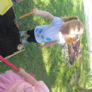 Zeliščni vrtiček Zeliščni vrtiček